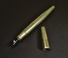 Load image into Gallery viewer, 66 F-C SEY Chikurin Sumie Maki-e Bamboo FP